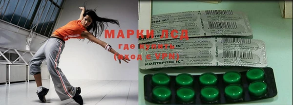 эйфоретик Магас