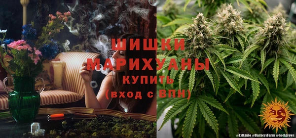 эйфоретик Магас