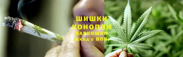 эйфоретик Магас